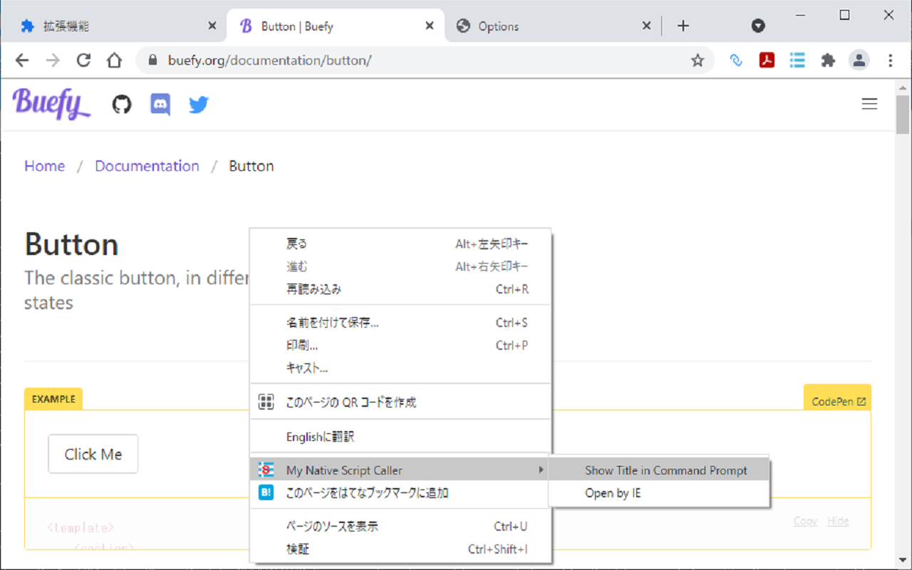 Native Script Caller chrome谷歌浏览器插件_扩展第1张截图