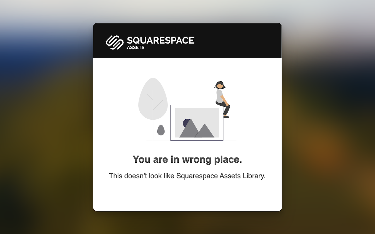 Squarespace Assets chrome谷歌浏览器插件_扩展第1张截图