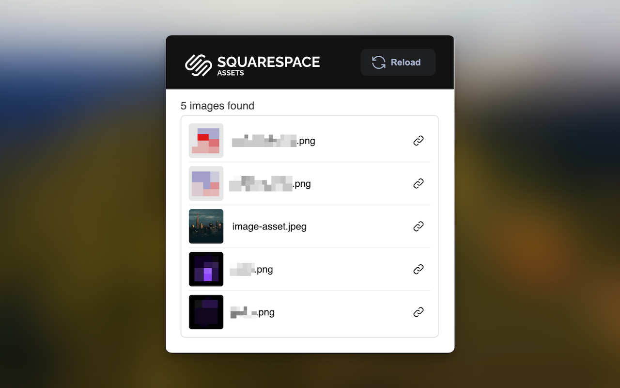 Squarespace Assets chrome谷歌浏览器插件_扩展第2张截图