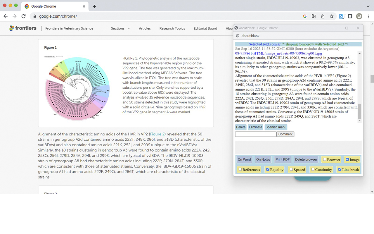 SELECTED TEXT chrome谷歌浏览器插件_扩展第4张截图