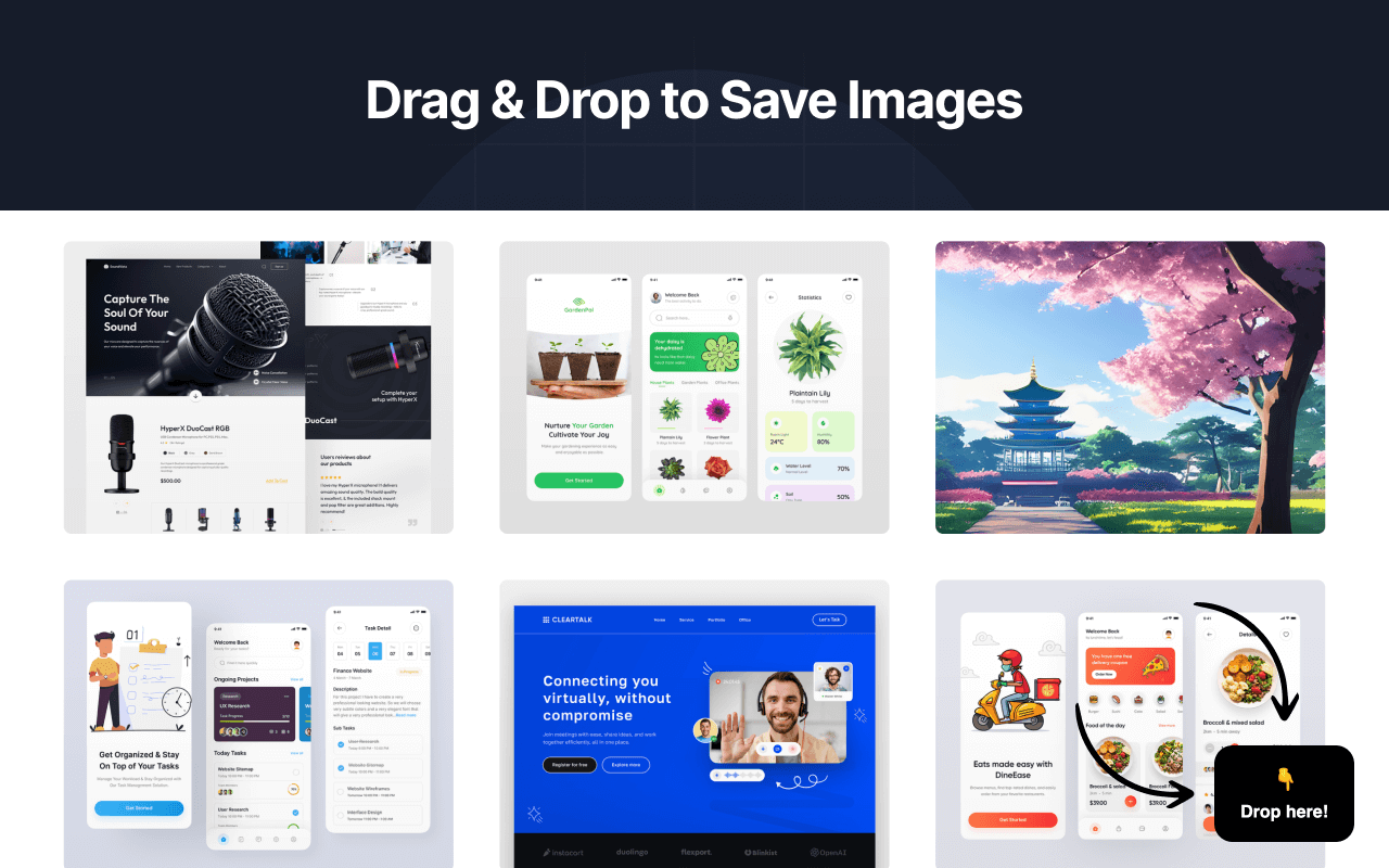Design Hub - Grab and Save chrome谷歌浏览器插件_扩展第3张截图