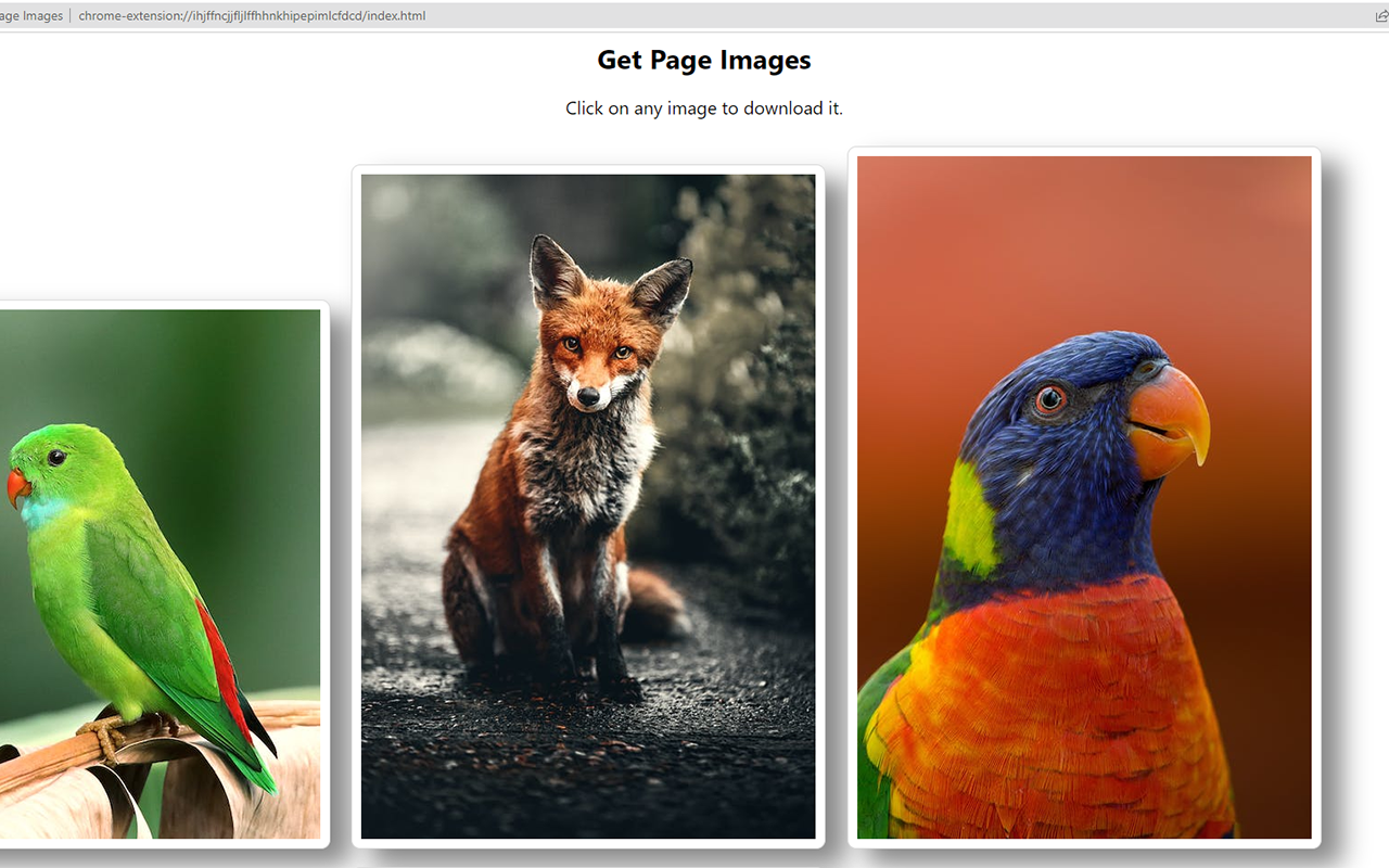 Get Page Images chrome谷歌浏览器插件_扩展第1张截图