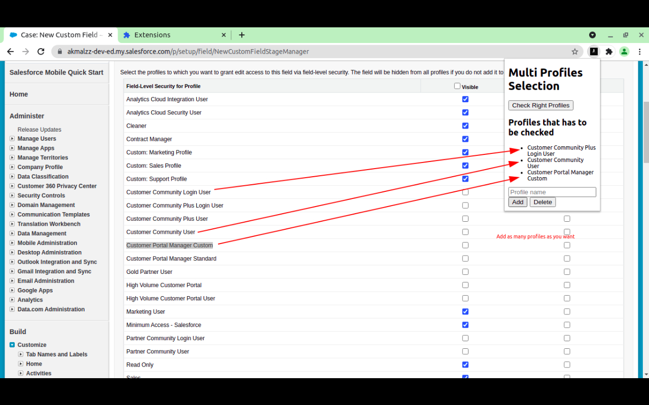 SF Multi Profile Selection chrome谷歌浏览器插件_扩展第1张截图