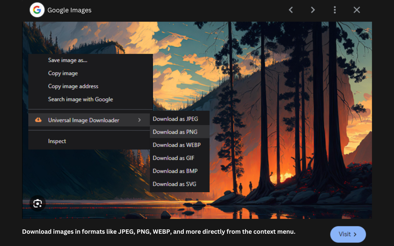 Universal Image Downloader chrome谷歌浏览器插件_扩展第1张截图