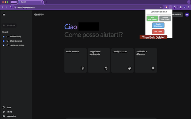 Gemini Delete chrome谷歌浏览器插件_扩展第3张截图