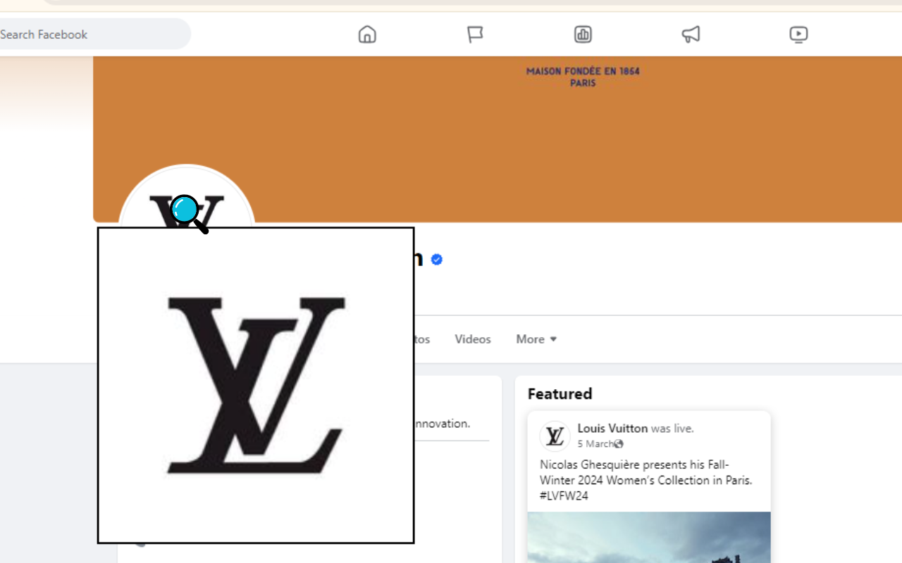 HoverZoom Pro chrome谷歌浏览器插件_扩展第1张截图