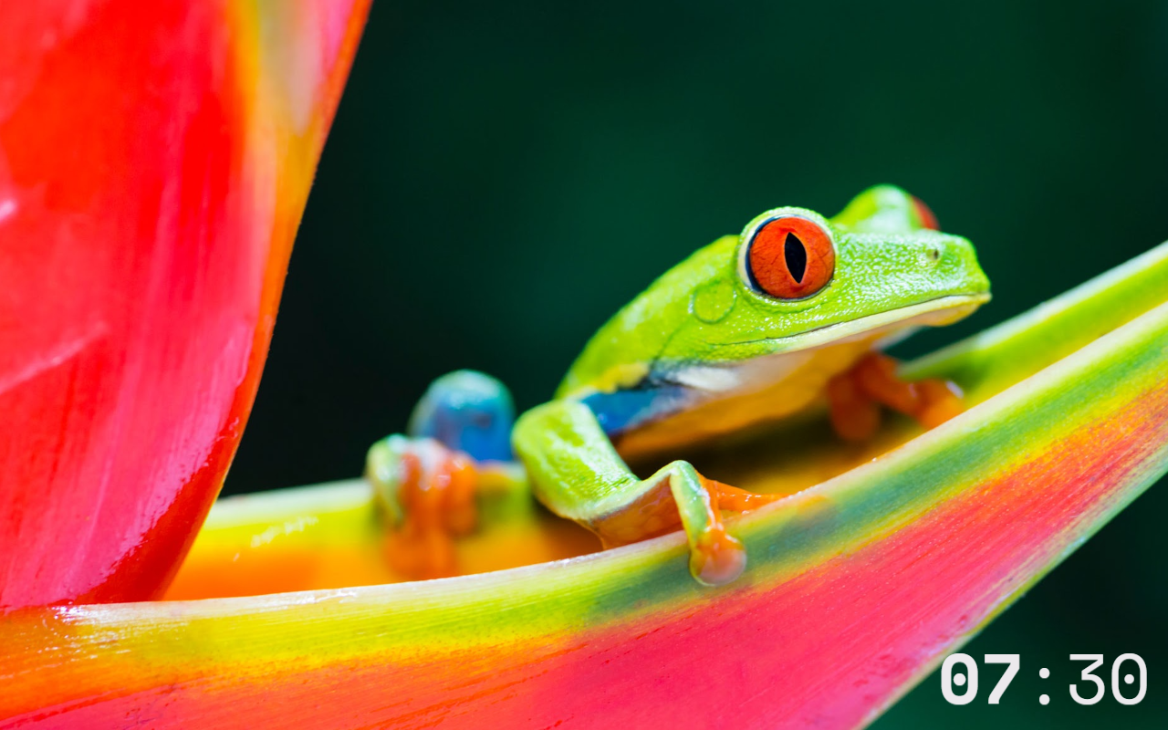 NeoTab chrome谷歌浏览器插件_扩展第5张截图