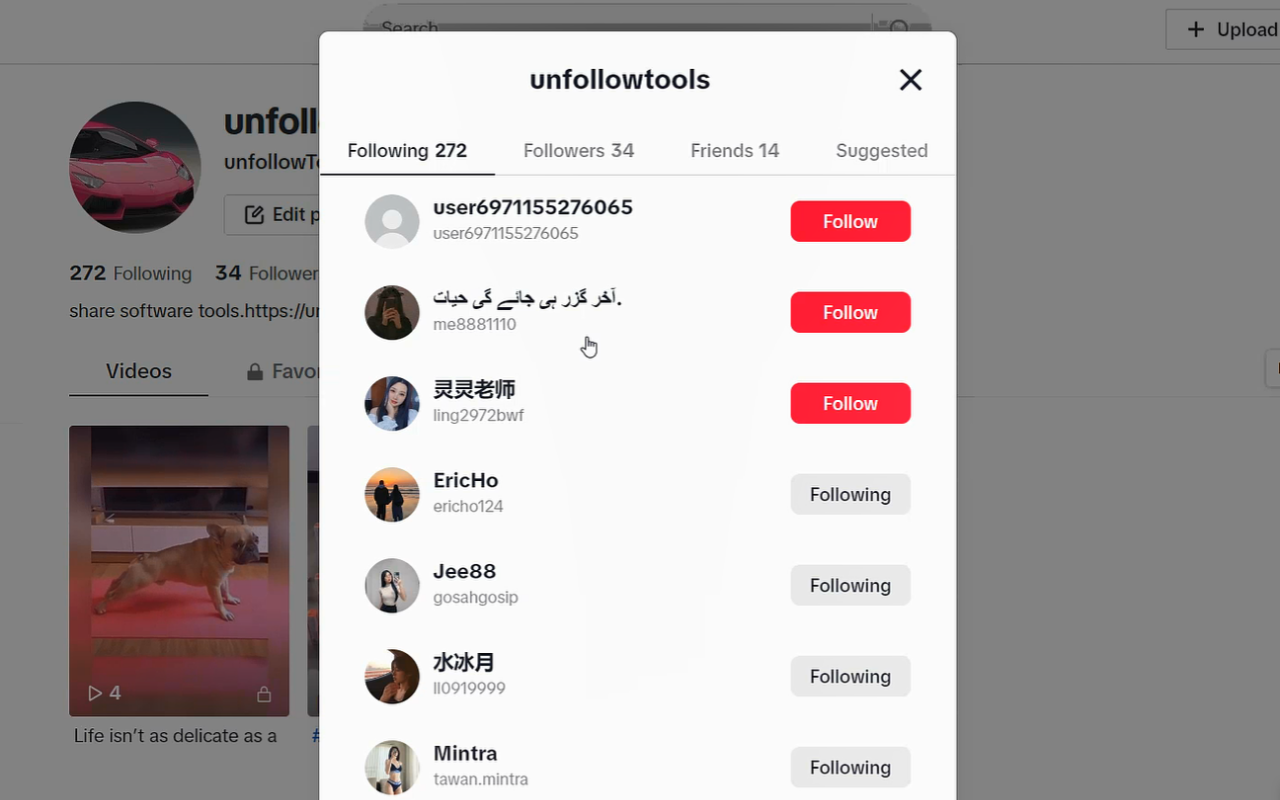 Tiktok unfollow all chrome谷歌浏览器插件_扩展第1张截图