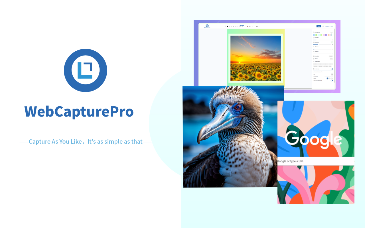 Screenshot (Capture Page) Tool - WebCapturePro chrome谷歌浏览器插件_扩展第3张截图