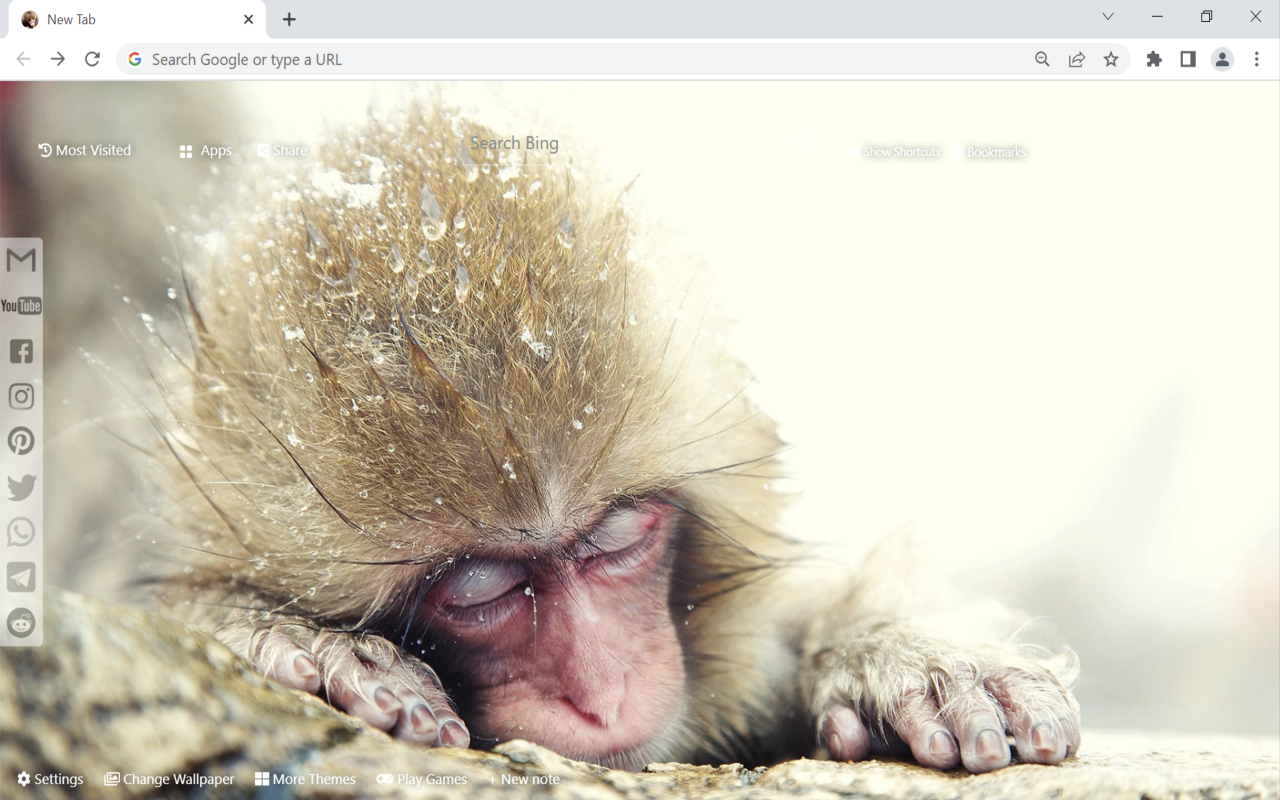 Monkey Wallpaper chrome谷歌浏览器插件_扩展第3张截图