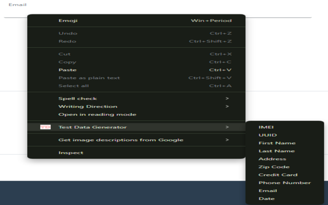Test Data Generator chrome谷歌浏览器插件_扩展第4张截图