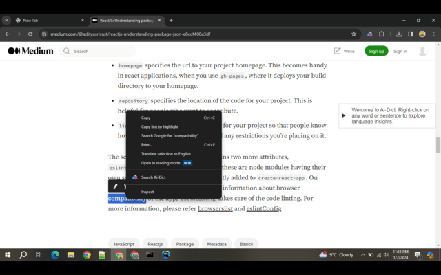 Ai-Dict chrome谷歌浏览器插件_扩展第4张截图