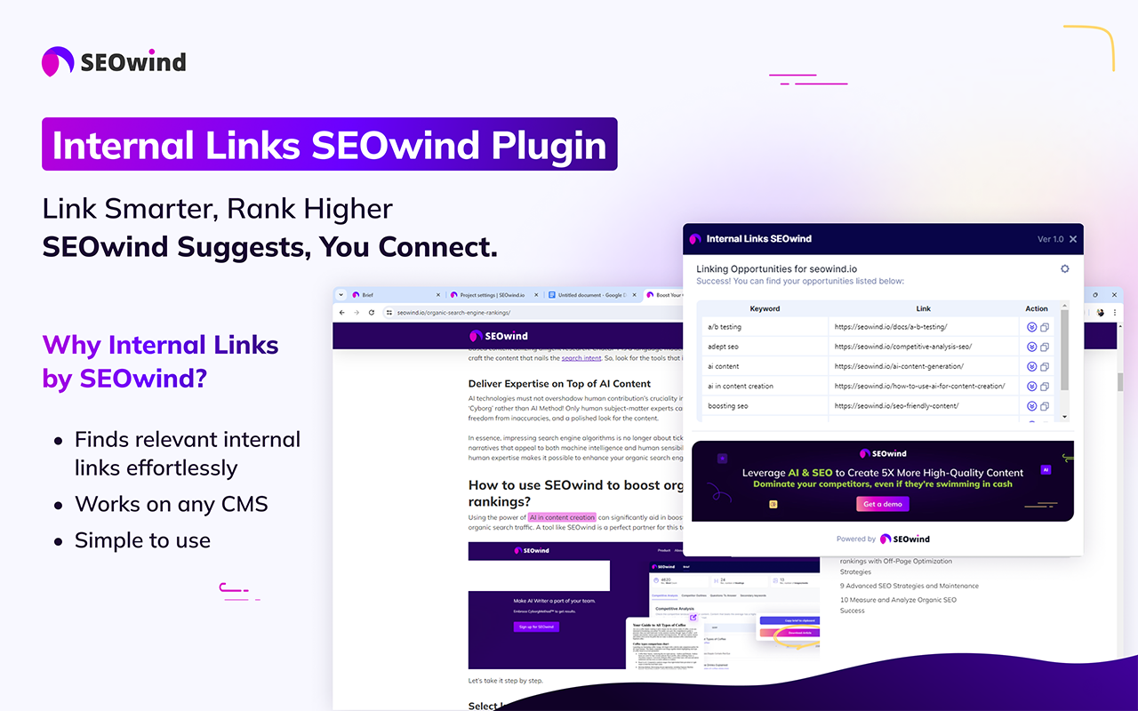 Internal Links SEOwind chrome谷歌浏览器插件_扩展第3张截图