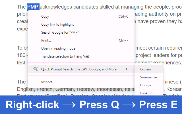 Quick Prompt Search: ChatGPT, Google, and More chrome谷歌浏览器插件_扩展第3张截图