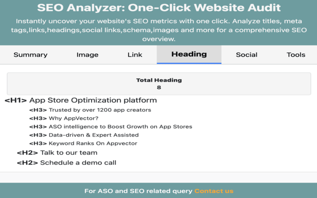 SEO Analyzer: One-Click Website Audit chrome谷歌浏览器插件_扩展第1张截图