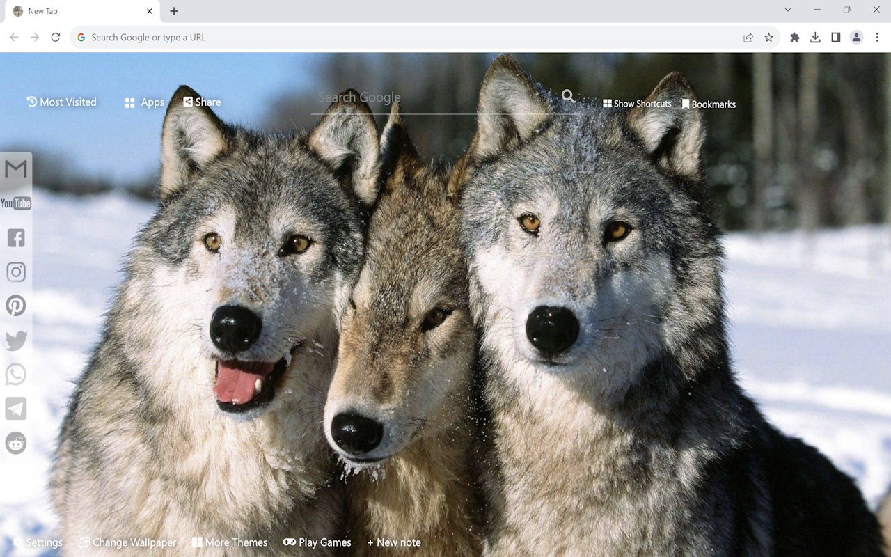 Wolf Wallpaper New Tab chrome谷歌浏览器插件_扩展第3张截图