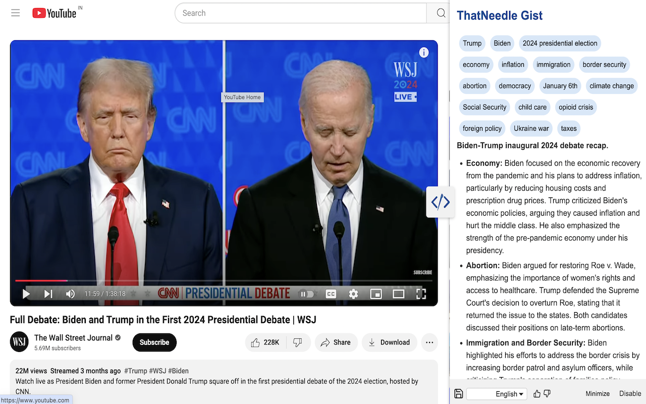 ThatNeedle Gist - YouTube Summary chrome谷歌浏览器插件_扩展第3张截图