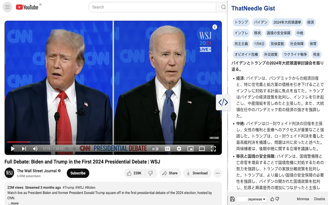 ThatNeedle Gist - YouTube Summary chrome谷歌浏览器插件_扩展第5张截图