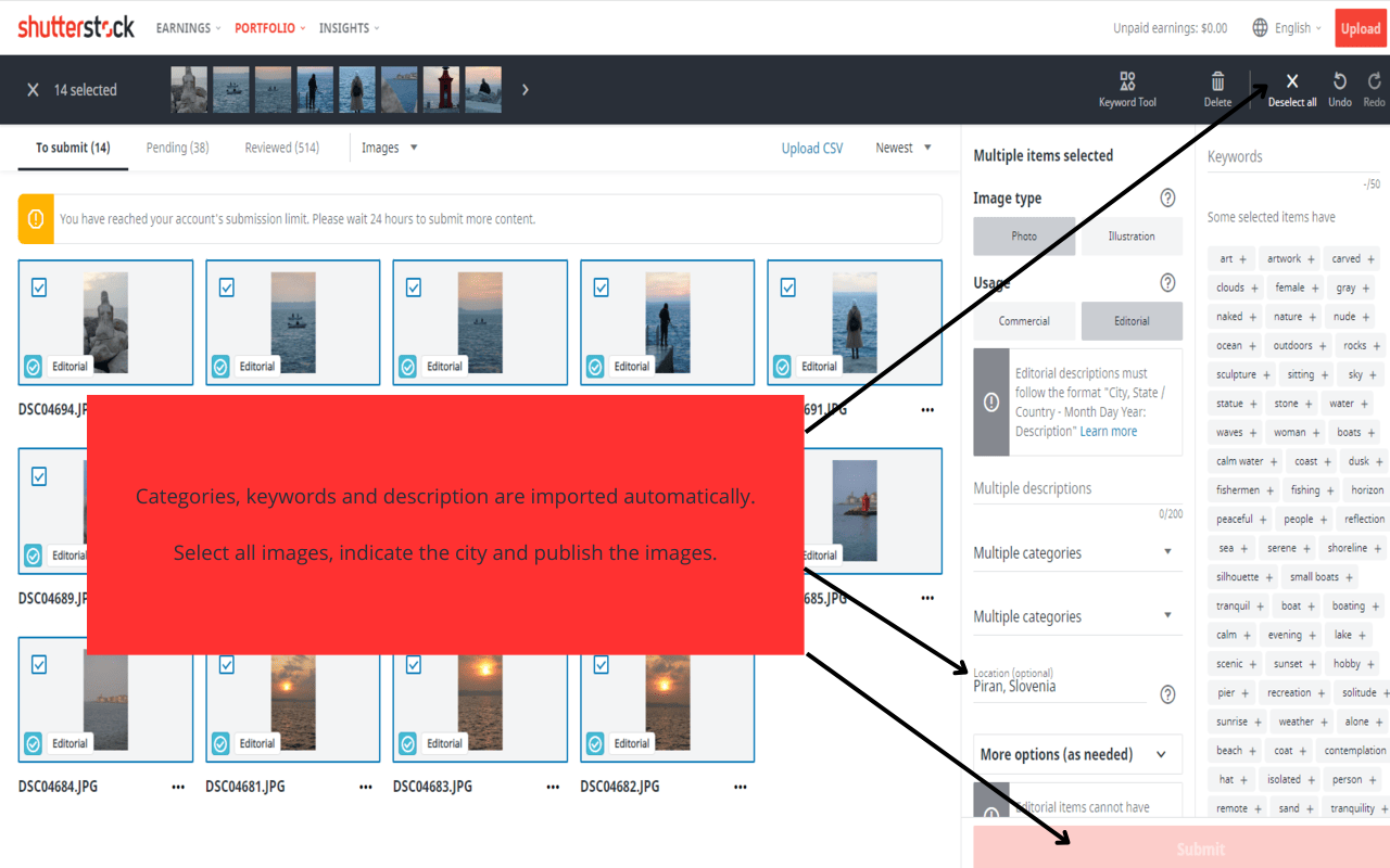 AI Metadata Generator for Shutterstock Contributors chrome谷歌浏览器插件_扩展第5张截图