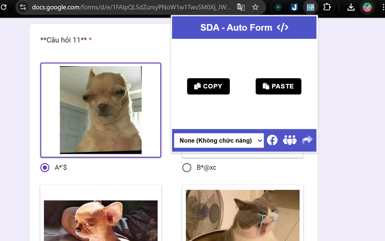 SDA - Auto Form chrome谷歌浏览器插件_扩展第2张截图