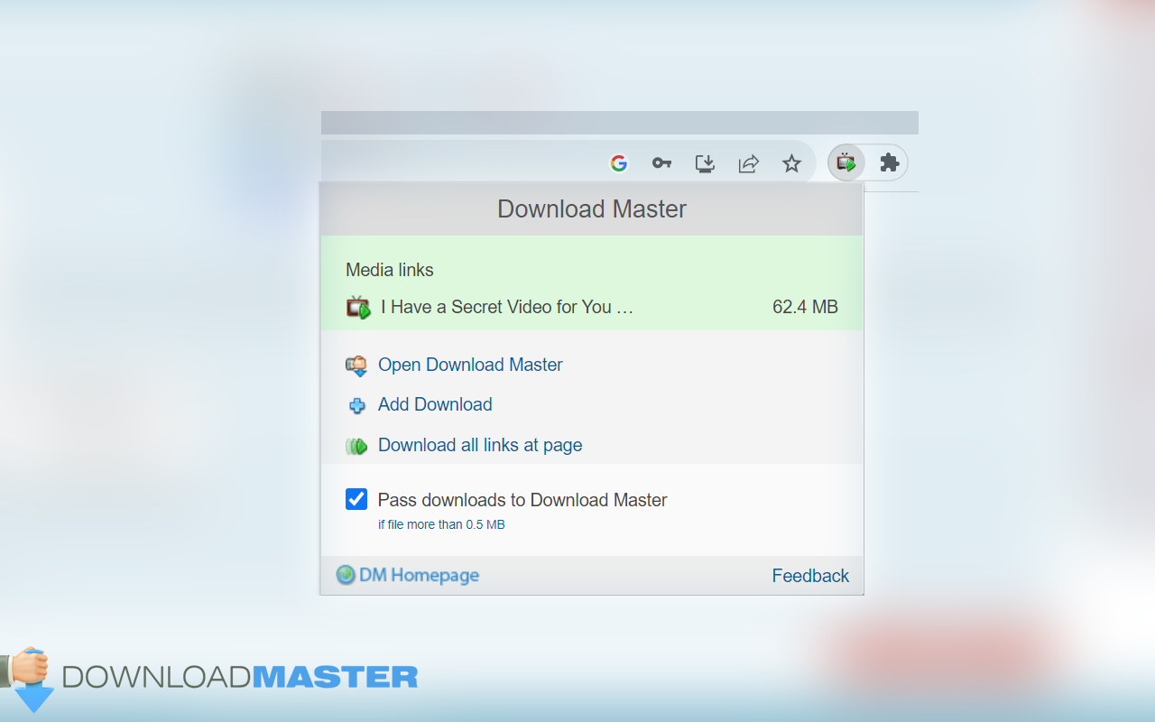 Download Master chrome谷歌浏览器插件_扩展第2张截图