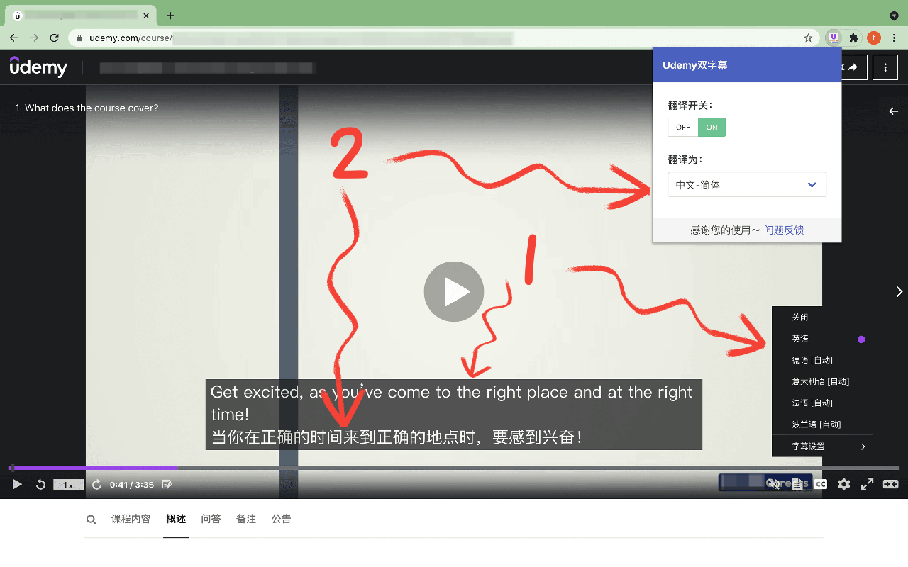 Udemy双字幕 - 字幕翻译器 chrome谷歌浏览器插件_扩展第4张截图