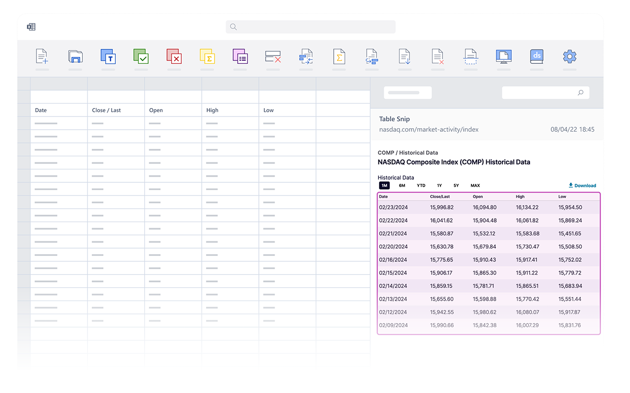 DataSnipper WebSnip Extension chrome谷歌浏览器插件_扩展第2张截图