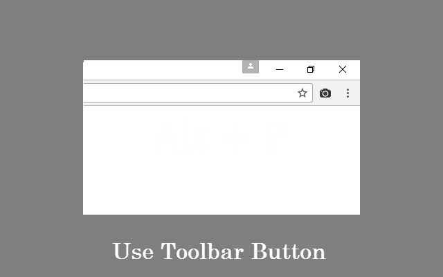 Screenshot chrome谷歌浏览器插件_扩展第3张截图
