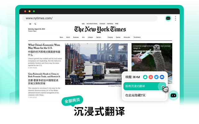 ZipZap.AI - 沉浸式全能翻译 & AI助理 chrome谷歌浏览器插件_扩展第5张截图