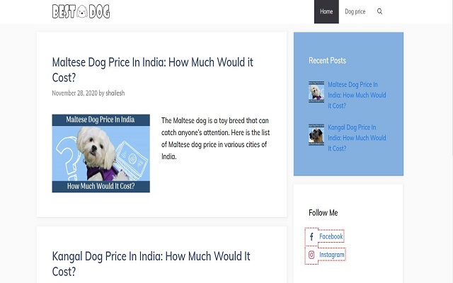 Best Dog chrome谷歌浏览器插件_扩展第1张截图