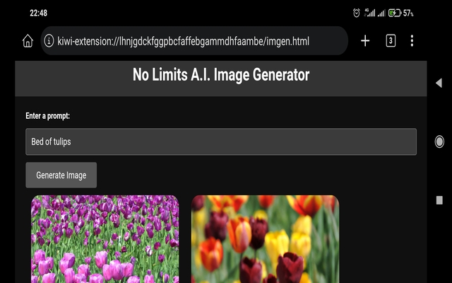 No Limits Chat GPT Bronze chrome谷歌浏览器插件_扩展第5张截图