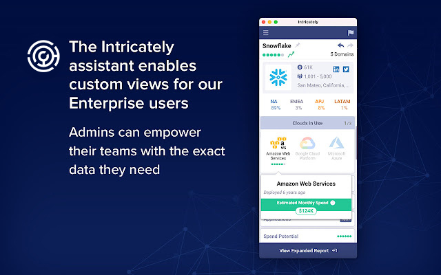 Intricately Assistant chrome谷歌浏览器插件_扩展第1张截图