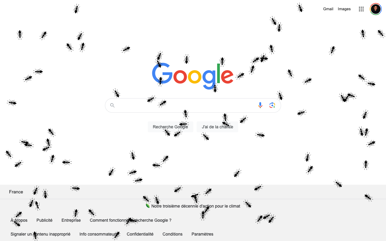 AntsOnScreen chrome谷歌浏览器插件_扩展第1张截图
