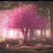 Cherry Blossom Tree: Beautiful Live Wallpaper for Chrome!