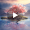 Lone Cherry Blossom Tree Animation Wallpaper