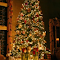 Animated Christmas tree and fireplace LOGO 图标
