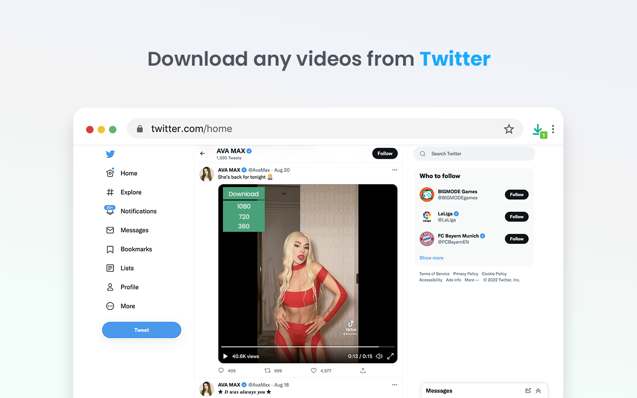 Video Downloader professional chrome谷歌浏览器插件_扩展第1张截图