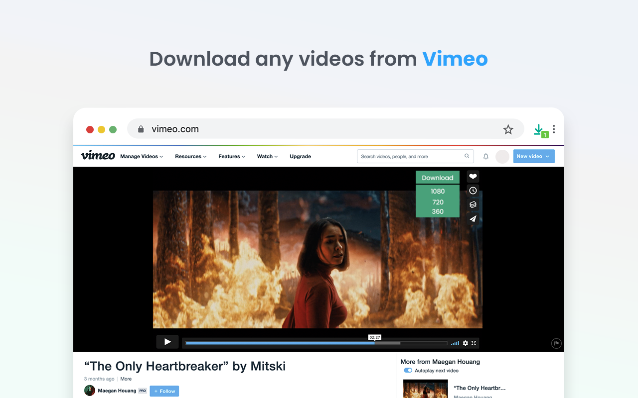 Video Downloader professional chrome谷歌浏览器插件_扩展第5张截图