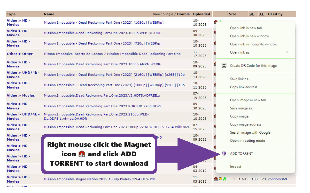 Bittorent For Chrome chrome谷歌浏览器插件_扩展第1张截图