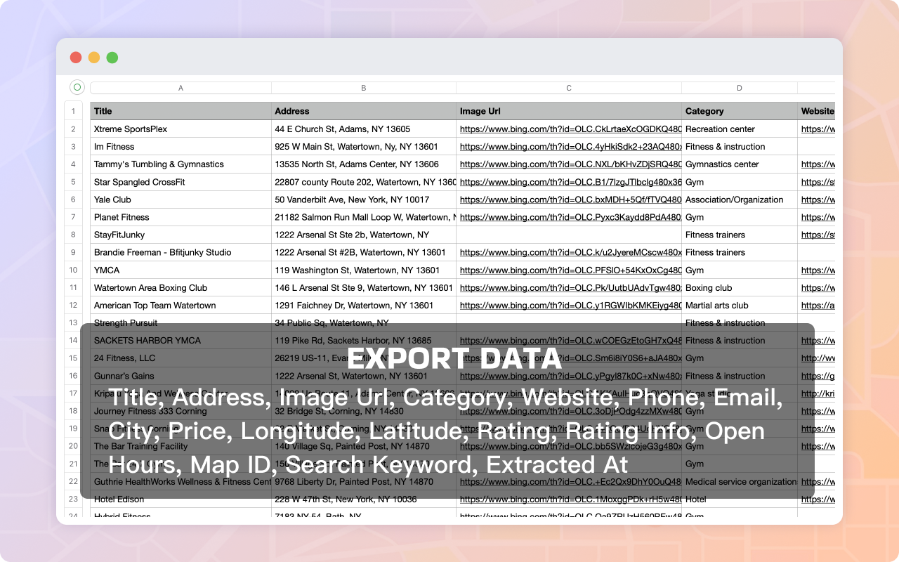 Maps Leads Extractor & Bing Maps Scraper chrome谷歌浏览器插件_扩展第4张截图