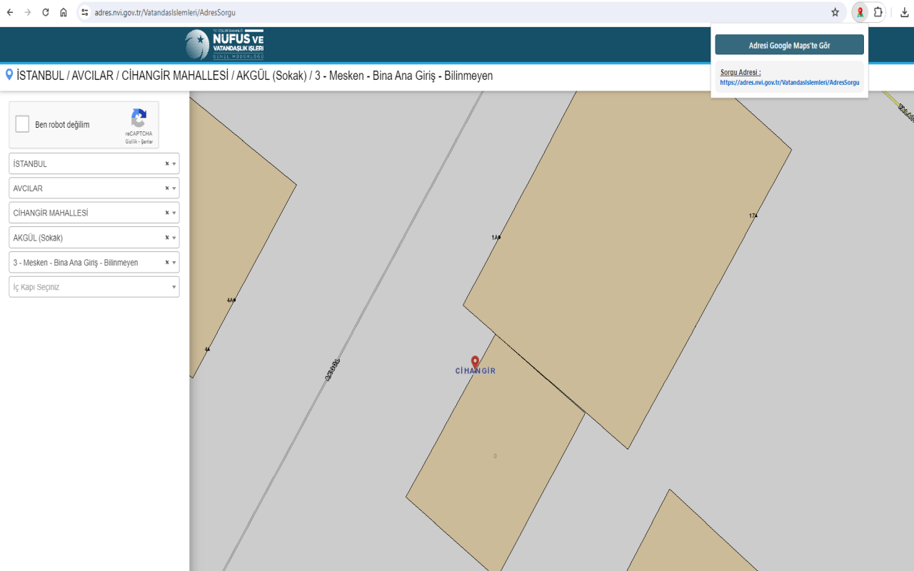 Adres Sorgulama NVI chrome谷歌浏览器插件_扩展第1张截图