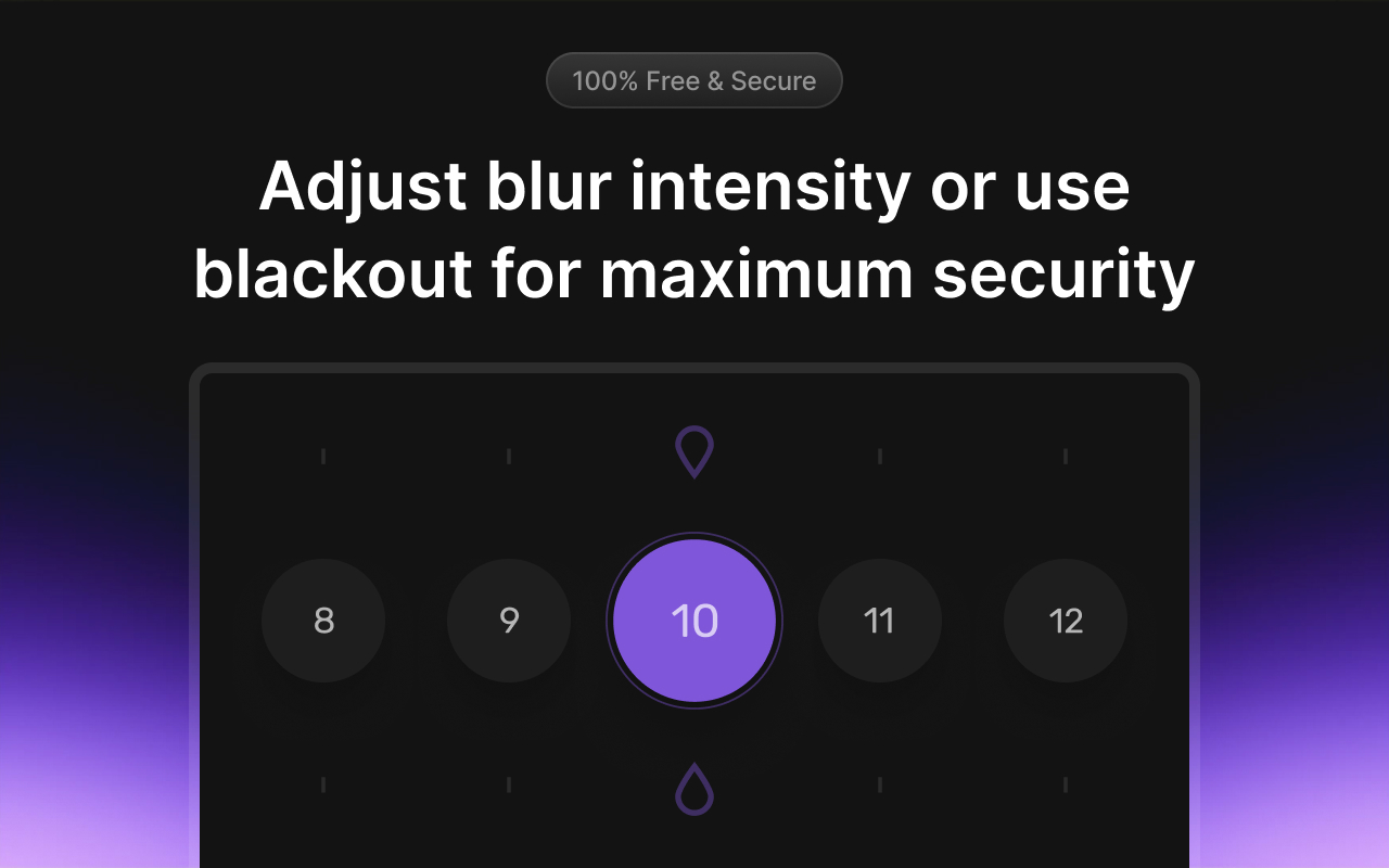DataBlur chrome谷歌浏览器插件_扩展第4张截图