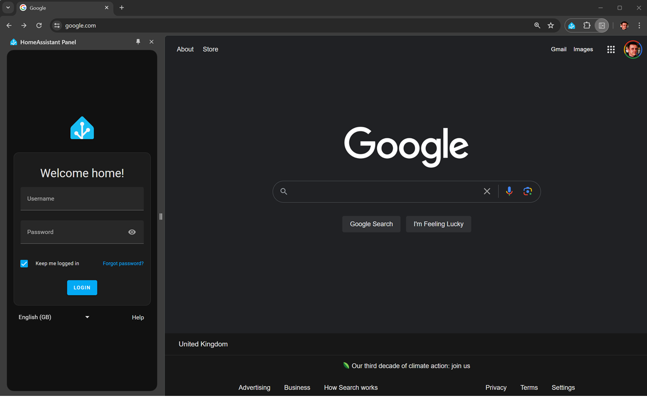 HomeAssistant Panel chrome谷歌浏览器插件_扩展第2张截图