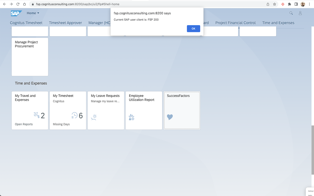 Get SAP Fiori Client chrome谷歌浏览器插件_扩展第1张截图
