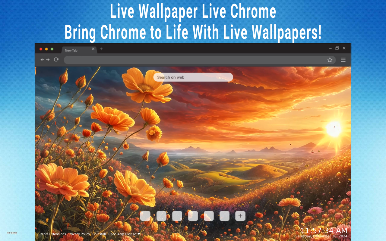 Sunset Over Flower Field Live Wallpaper chrome谷歌浏览器插件_扩展第1张截图