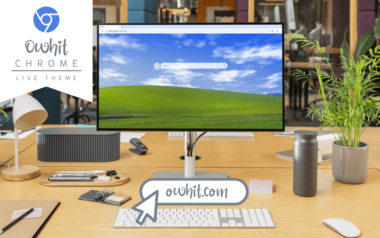 Windows XP Live Wallpaper chrome谷歌浏览器插件_扩展第5张截图
