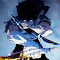 Solo Leveling - Dark Aria Live Wallpaper