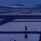 Starlit Landscape Live Wallpaper