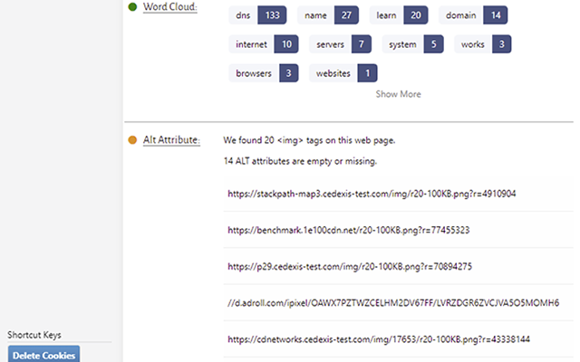 DNS Checker - SEO and Domain Analysis chrome谷歌浏览器插件_扩展第2张截图