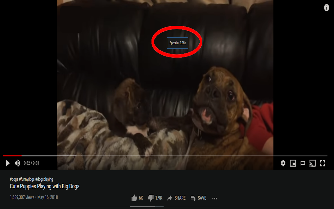 Speedio chrome谷歌浏览器插件_扩展第1张截图